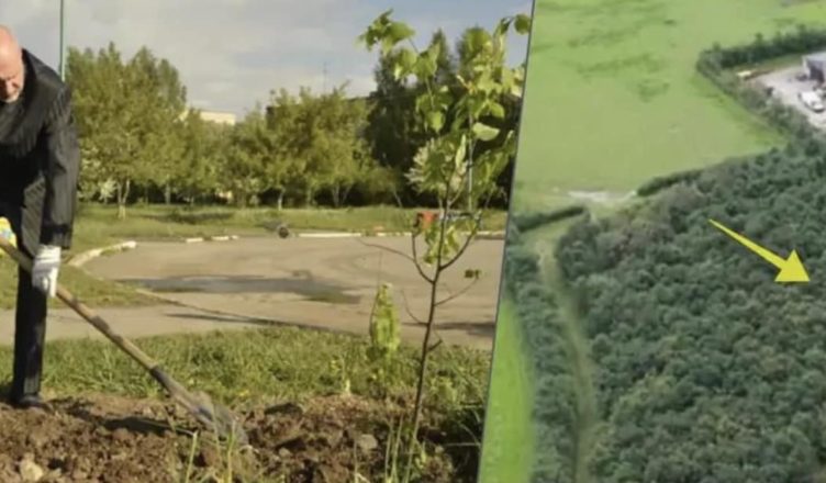 Після смеpті дружини він висадив 6000 дубів. Через 20 років усі помітили, навіщо він це зробив.