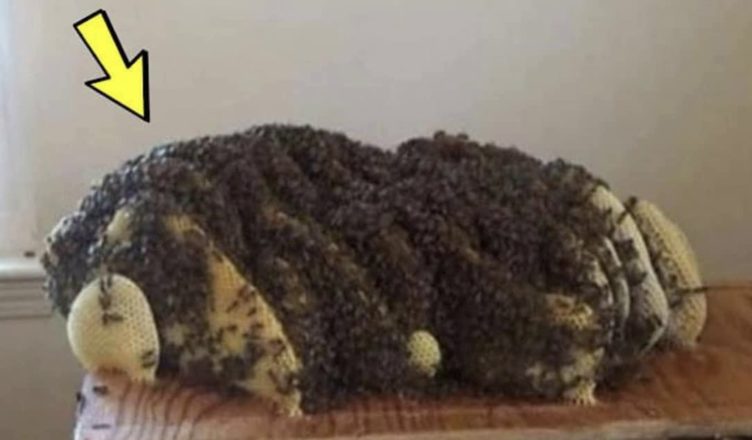 З-під ліжка жінки долинали дивні звуки. Розкривши підлогу, люди виявили жахливу знахідку
