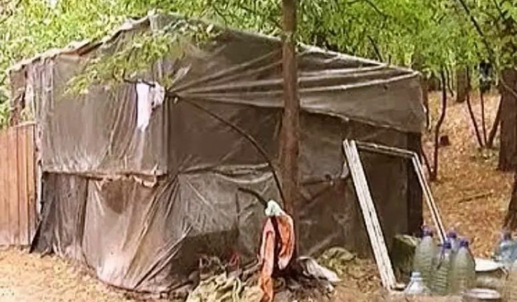 Під Києвом у хащах знайшли повно дітей в целофановій халабуді …