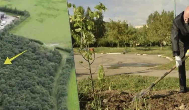 Після смеpті дружини він висадив 6000 дубів. Через 20 років усі помітили, навіщо він це зробив.