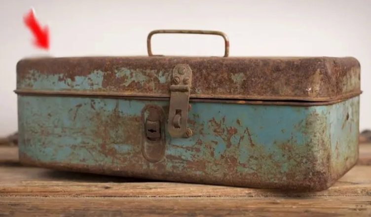 Онуки знайшли у діда в гаражі коробку, зазирнувши всередину, втратили дар мови