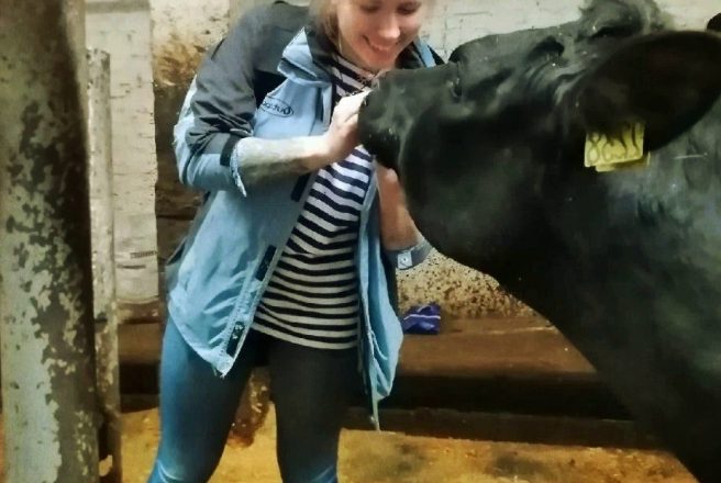 Чоловік помітив, як люба невістка бігає в хлів до гарного племінного бичка – ще й кожну ніч … І вирішив за нею простежити … «Матінко рідна, що ж вона творить окаянна!» – зовсім втратив дар мови від побаченого