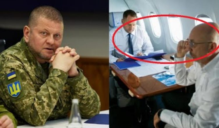 В камеру їх! Залyжний видав — Єрмак не чекав. Чистка: облава в ОП. Всіх запрσданців. Армія в шσці