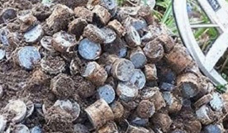 Люди натрапили на це в лісі