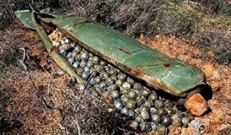 Коли люди побачили ЦЕ, то очам не повірили