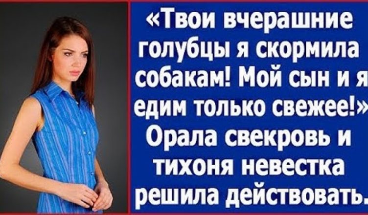 «Твої вчорашні голубці я згодувала собакам!» — репетувала свекруха. Тихоня невістка вирішила діяти.