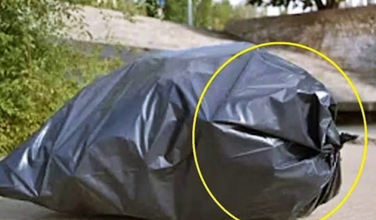 Біля магазину лежав мішок. Раптом він почав ворушитись і видавати дивні звуки