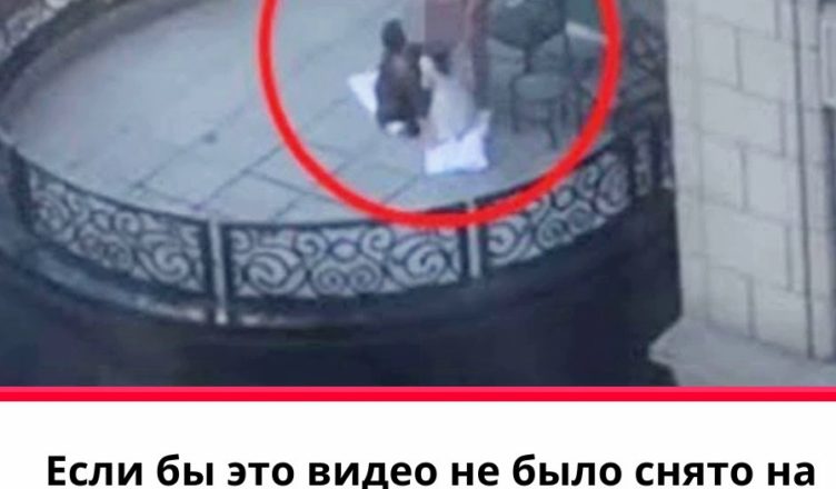 Если бы это видео не было снято на дроне, никто бы не поверил
