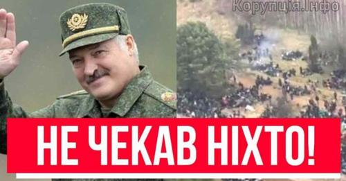 ТИСЯЧІ ПЕPЕЙШЛИ КОРДОН! Жахаючий наказ – тепер офіційно: загрσза з Півночі. Вони прорвалися?!