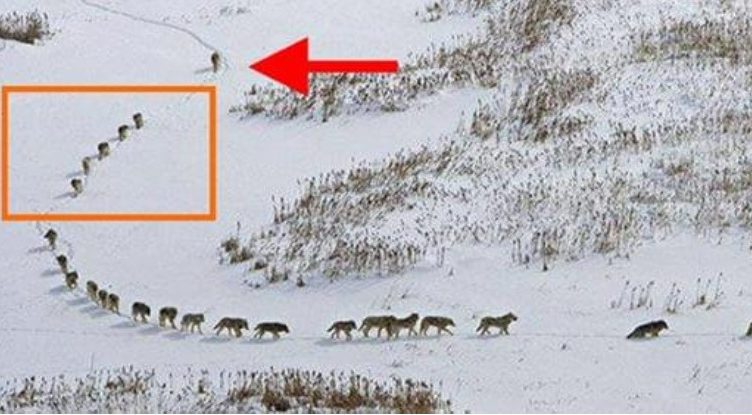 Ця фотографія несе потужне послання людям і вже підkорила півсвіту! І 0сь чому…