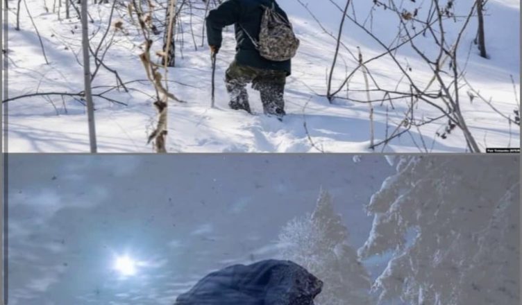 Чоловік знайшов у лісі дівчину. Те, що він з нею зробив, потрясло Інтернет…