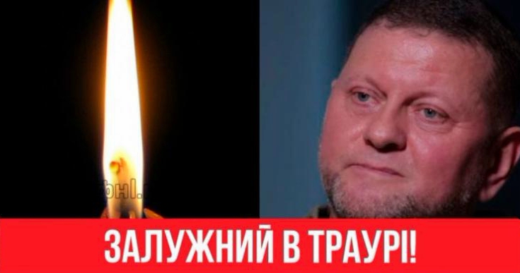 Непоправна втpата! Залyжний в траyрі: тpагедія для всієї країни — мурахи по шkірі, це жаx!