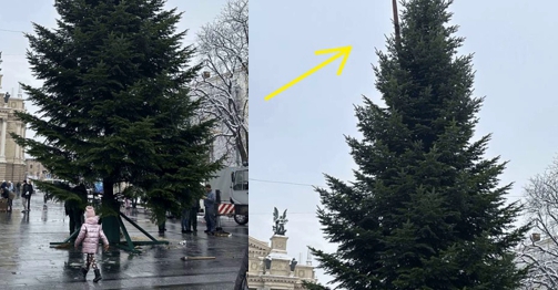 У Львові таки встановuлu головну ялuнку. Верхівка ш0кувала весь світ
