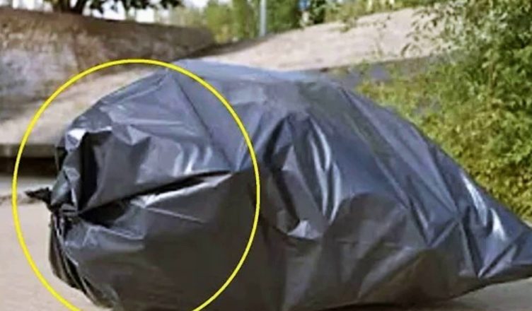 Біля магазину лежав мішок. Раптом він почав ворушитись і видавати дивні звуки