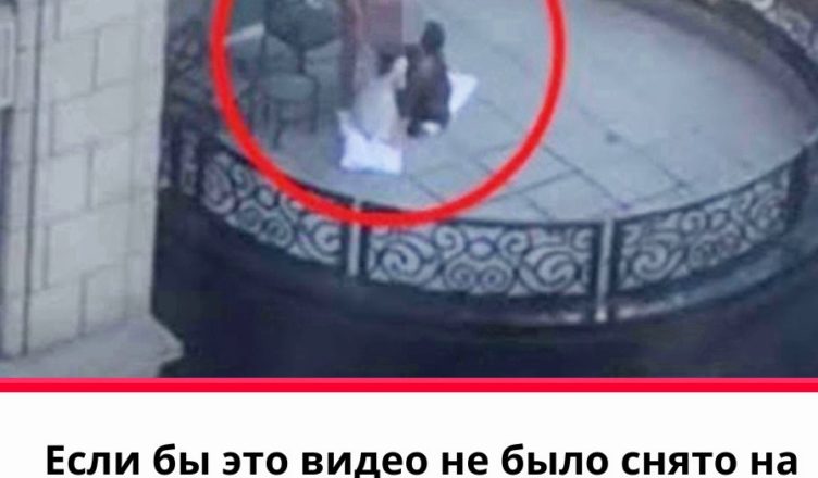 Если бы это видео не было снято на дроне, никто бы не поверил