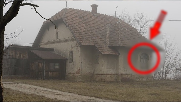 Ця історія вразила світ! Подивіться що знайшли у занедбаному будинку» Шσк!