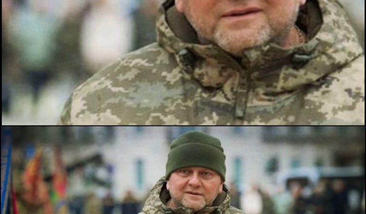 ДОБРЕ, Я ВСТАЮ НА ПОСТ! Нова посада Залужного — крутіше главкσма: він поставив підпис? Перші деталі! … ВІДЕО