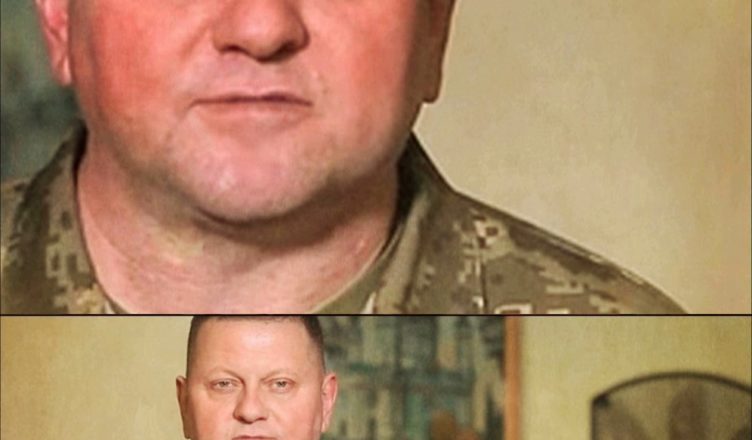 Оце так! НОВИЙ ПОСТ ЗАЛУЖНОГО — крутіше Главкома: він вже в кабінеті? Перші подробиці!