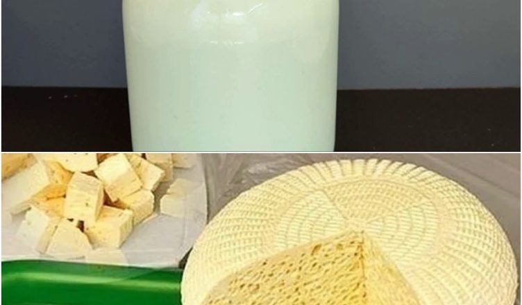 Из 3-х литровой банки молока делаю килограмм сыра: вкусный, натуральный и без химии