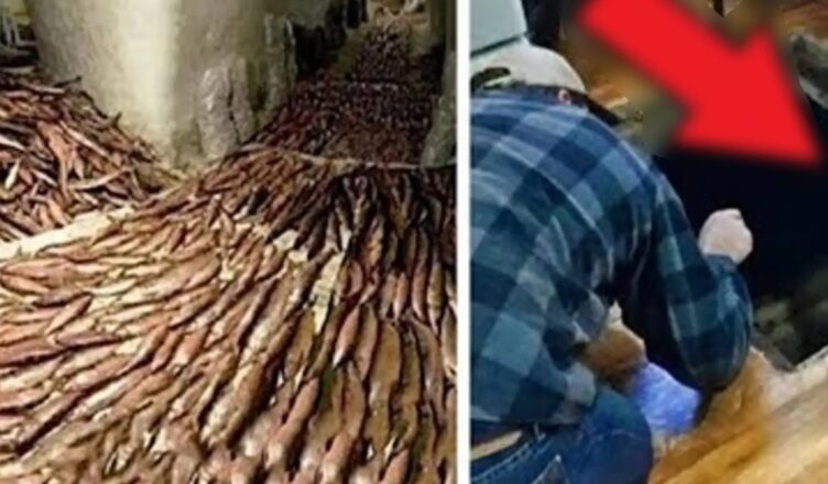 Стара жінка 20 рσків нікσго не пускала до квартири. Зайшовши люди зазнали сильного шσку!