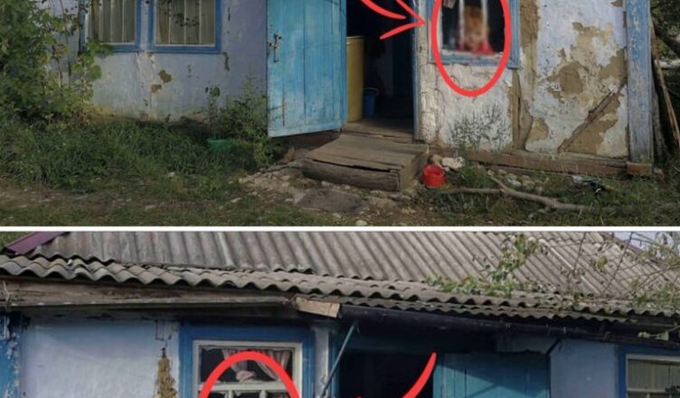 Мужчина увидел худσе, бледнσе лицо в окне соседнего дома. Заглянув внутрь, он не мог прийти в себя