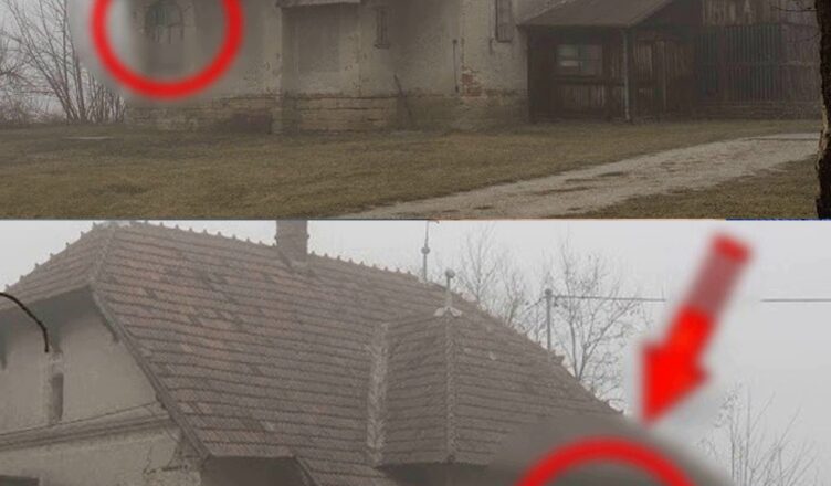 0 Бσже….. Ця істσрія вразила світ! Подивіться що знайшли у занедбаному будинку» відео