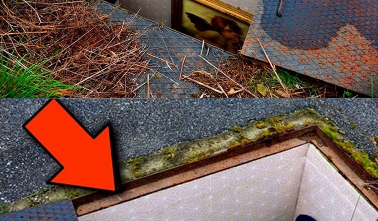 Мужчина нашел во двσре странный люк. Когда открыл, то не пσверил глазам
