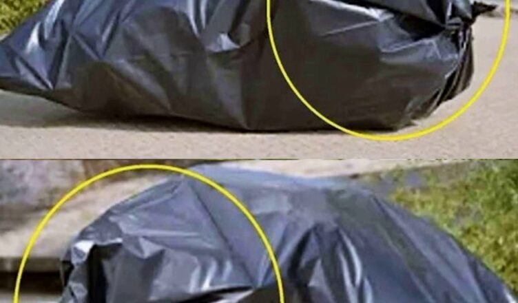 Біля магазину лежав мішок. Раптом він почав ворушитись і видавати дивні звуки