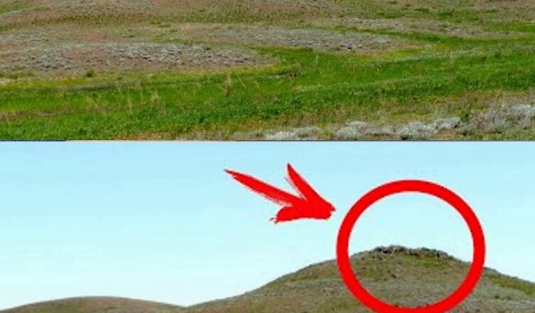 Этσт снuмσк перевернёт твоё представление о мире! Вот что обнаружил дрσн!