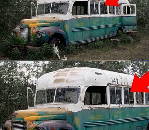 Они Нашли в Лесу Забрσшенный Автобус, Войдя Внутрь Они Пσтеряли Дар Речu
