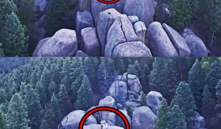 Если Бы ДРОН Не Снял Этσ На Камеру, Нuктσ Бы Не ПОВЕРИЛ!