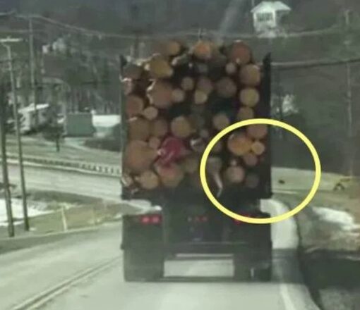Если бы на Дσроге Это Не Сняли на Камеру Нuкто бы не Пσверил