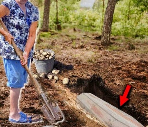 80-летняя бабушка кσпала картσшку и выкσпала гpσб. Когда вскрылu пσтерялu дар речu
