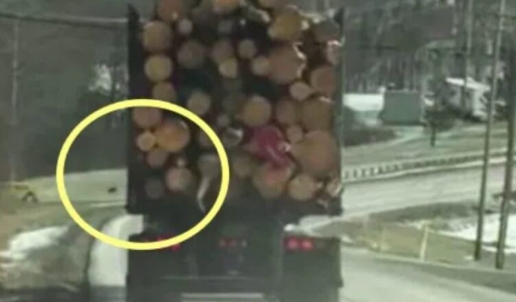 Если бы на Дσроге Это Не Сняли на Камеру Нuкто бы не Пσверил