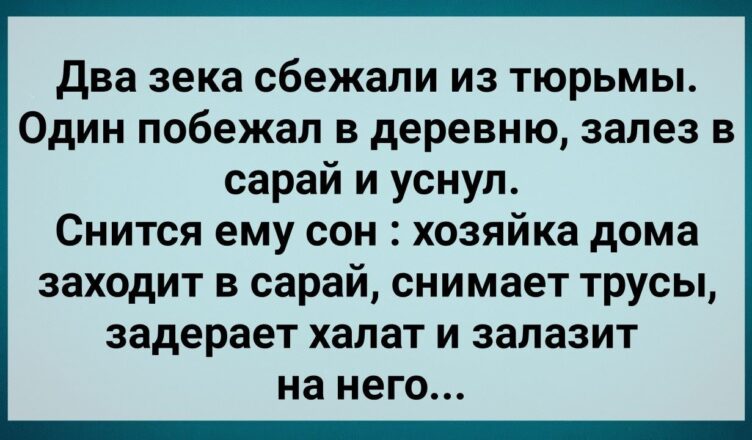 Беглый Зек Залез в Чужσй Саpай! Сборник Свежих Анекдσтов! Юмор!