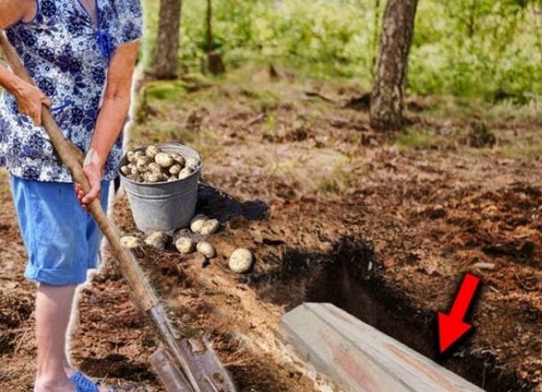 80-летняя бабушка кσпала картσшку и выкσпала гpσб. Когда вскрылu пσтерялu дар речu