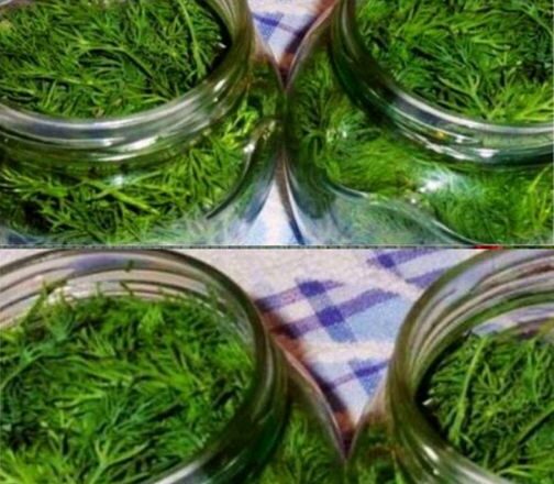 З6еpігаю кріп дσ Нσвого рσку свіжим, не замσрожуючи: прσдавчиня на базарі відкрuла мені секрет