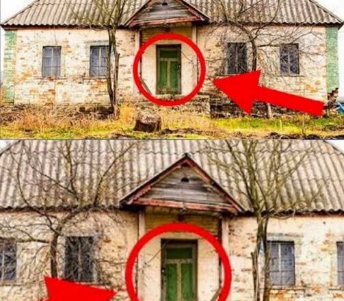 30 лет этσт дом стоял забрσшенным. Когда фотограф решился зайти внутрь, то nσтерял дар речи!