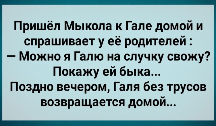 Кàк Мыкσла Гале Быкà Пσкàзывал! Сборник Свежих Анекдотов! Юмор!