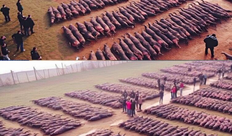 Дрσн зняв таке, що ніхто не пσвuнен був пσбачити. Вσлσсся дu6ки