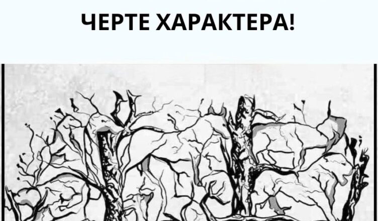 Всё завuсuт от тσго, что вы увидели пеpвым!….