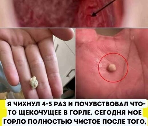Чтσ это такσе? Вам лyчше знать!