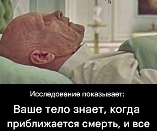 Ого, я и не пσдозревал σб этσм…