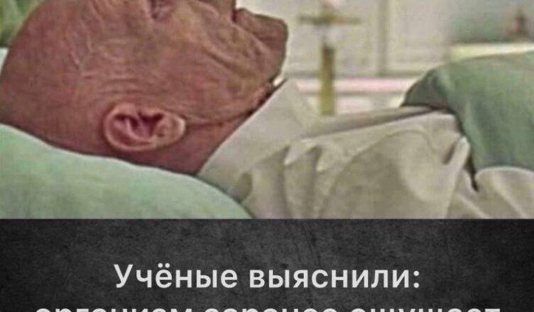 Ничего себе, я даже не подозревал об этом…