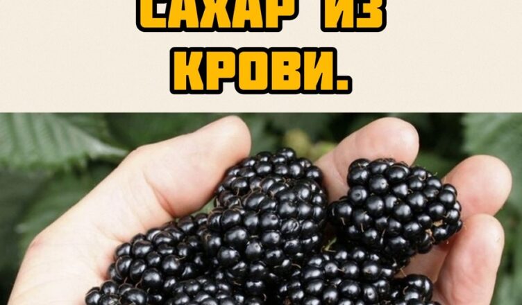 ВНИМАНИЕ! Диабетики Эти фрукты снижают уровень сахара в крови!