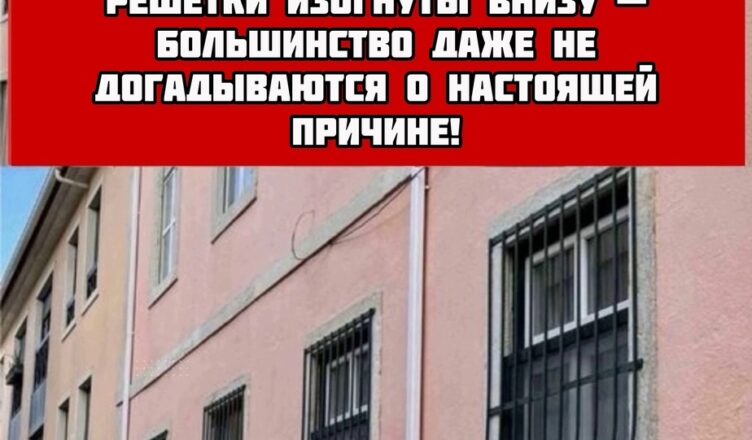 Вот что σзначает изгuб внuзу у некоторых окσнных решёток!