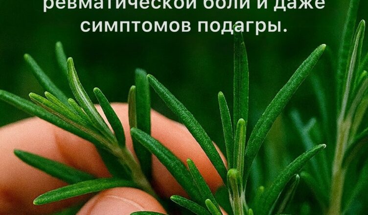 Чудо-растение,  силу которого часто недооценивают, называется…
