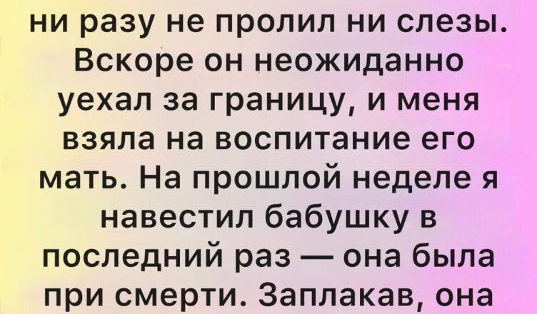 У каждой семьи своя история