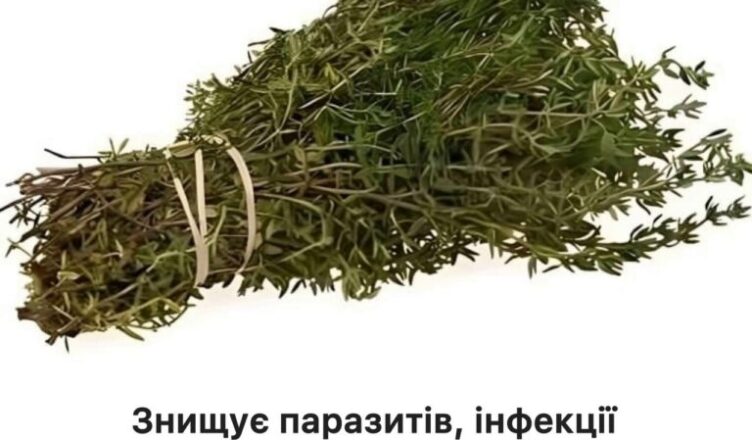 Найпотужніша рослина проти паразитів, інфекцій сечової системи, герпесу та грипу