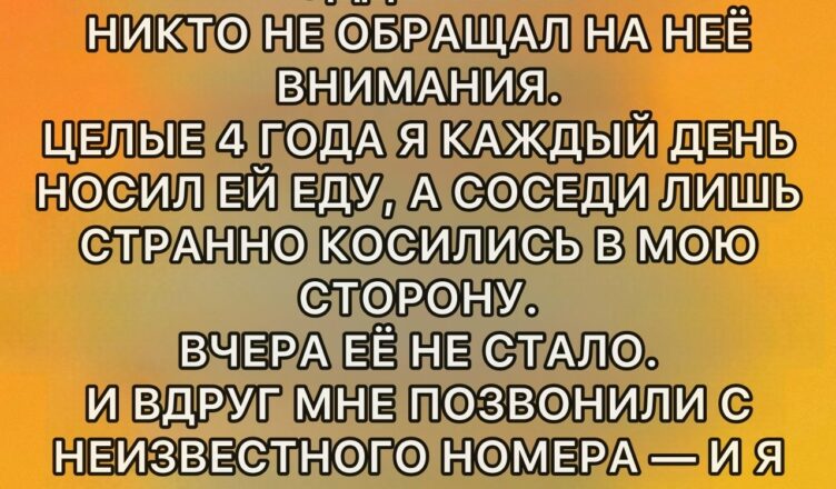 В мире, где все спешат за успехом, деньгами и признанием, слишком легко пройти мимо тех, кто остаётся в тени.